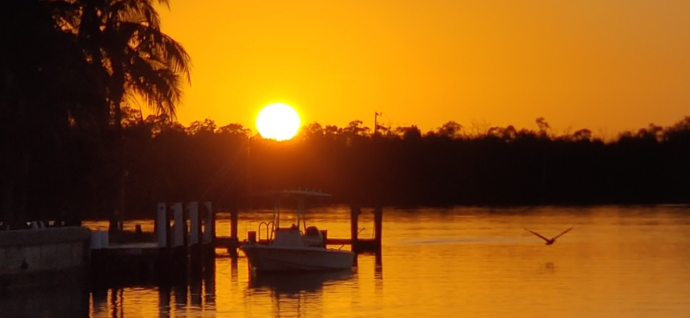A sunset with a bird flying over the water